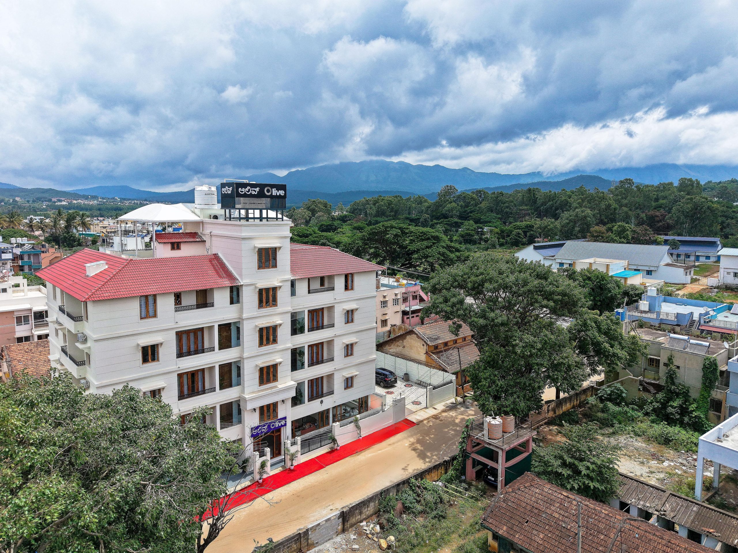 Olive Hotel